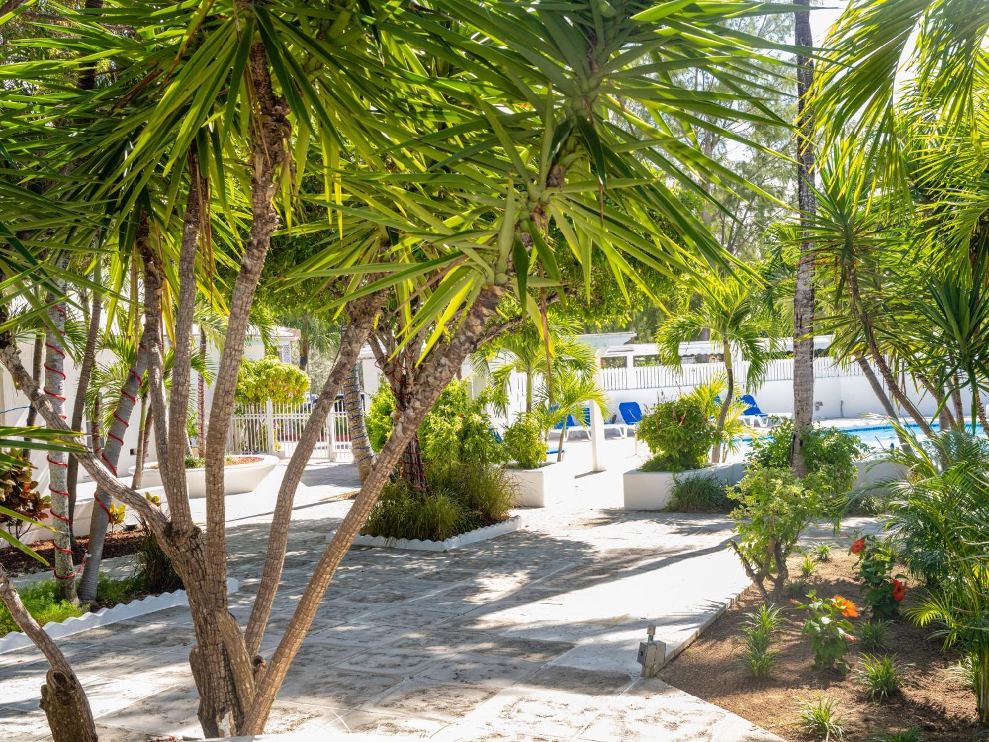 Paradise Island Beach Club Ocean View Villas Creek Village Exteriör bild