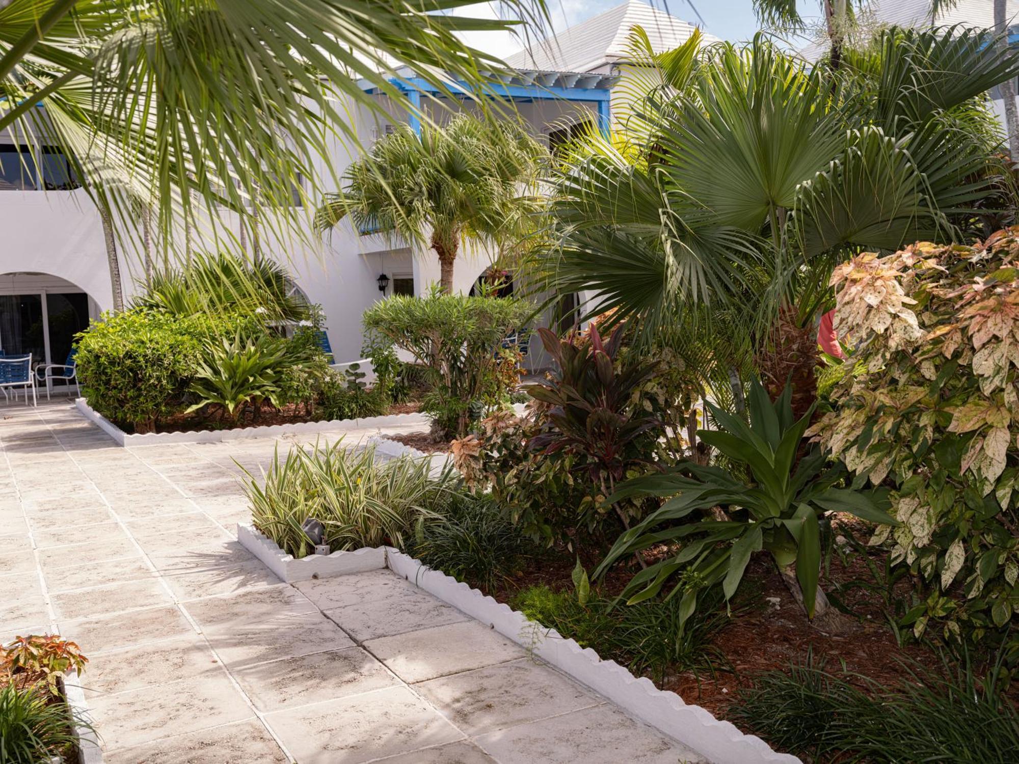 Paradise Island Beach Club Ocean View Villas Creek Village Exteriör bild