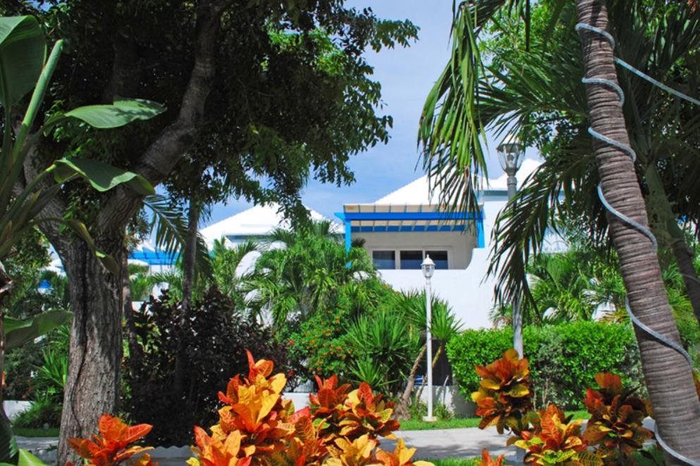 Paradise Island Beach Club Ocean View Villas Creek Village Exteriör bild